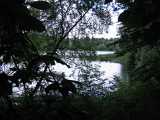 See-Idylle an einem Juni-Sonntagmorgen : See, hochholz, Walldorf, Fische